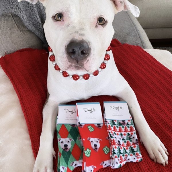 Layla Baker - dog influencer - showing off new socks