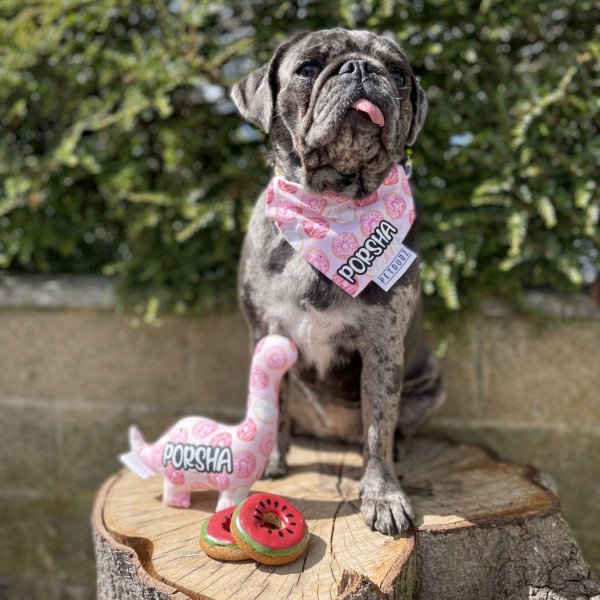 Dog promoting dog toys
