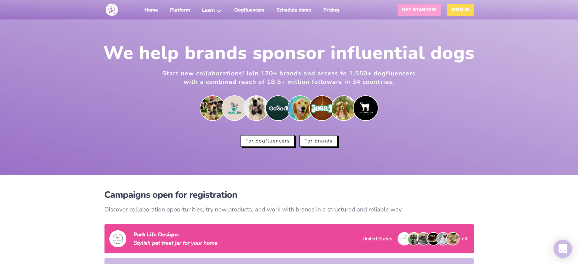 Dog influencer homepage