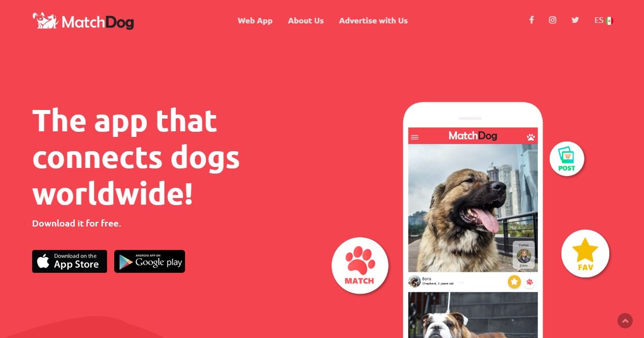 MatchDog - connects dog worldwide.