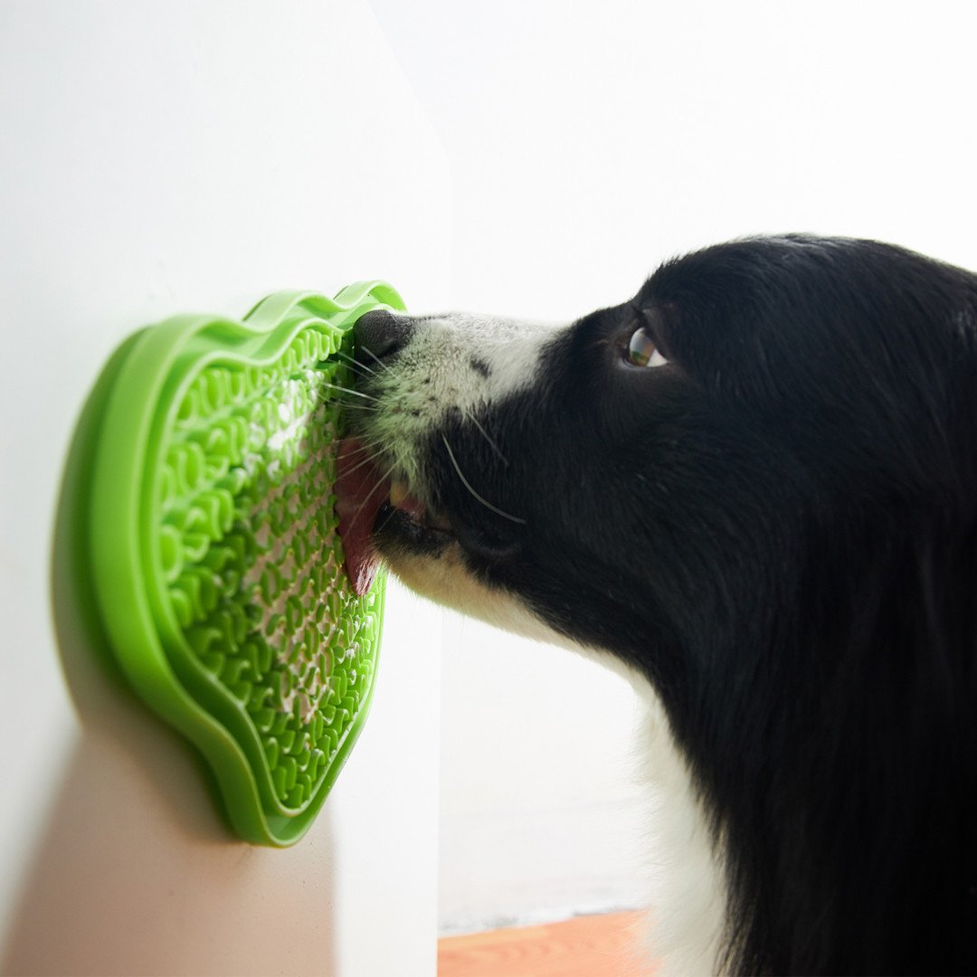 PetDreamHouse lick mat for dog influencers