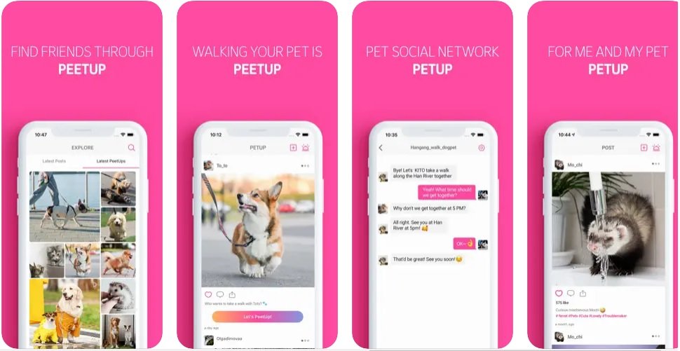 Interface of PetUp - dog social network app