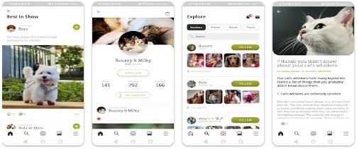 Yummypets app interface