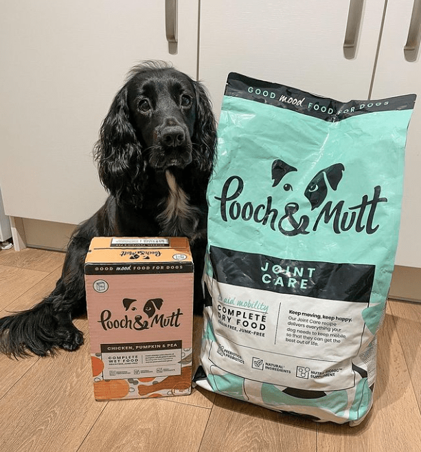 Dogfluencer promoting Pooch and Mutt