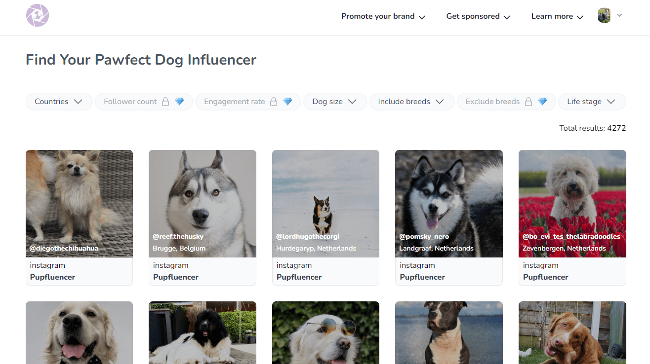 Dog Influencer Search Engine