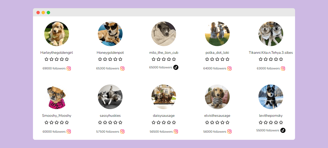 Dog influencer search tool