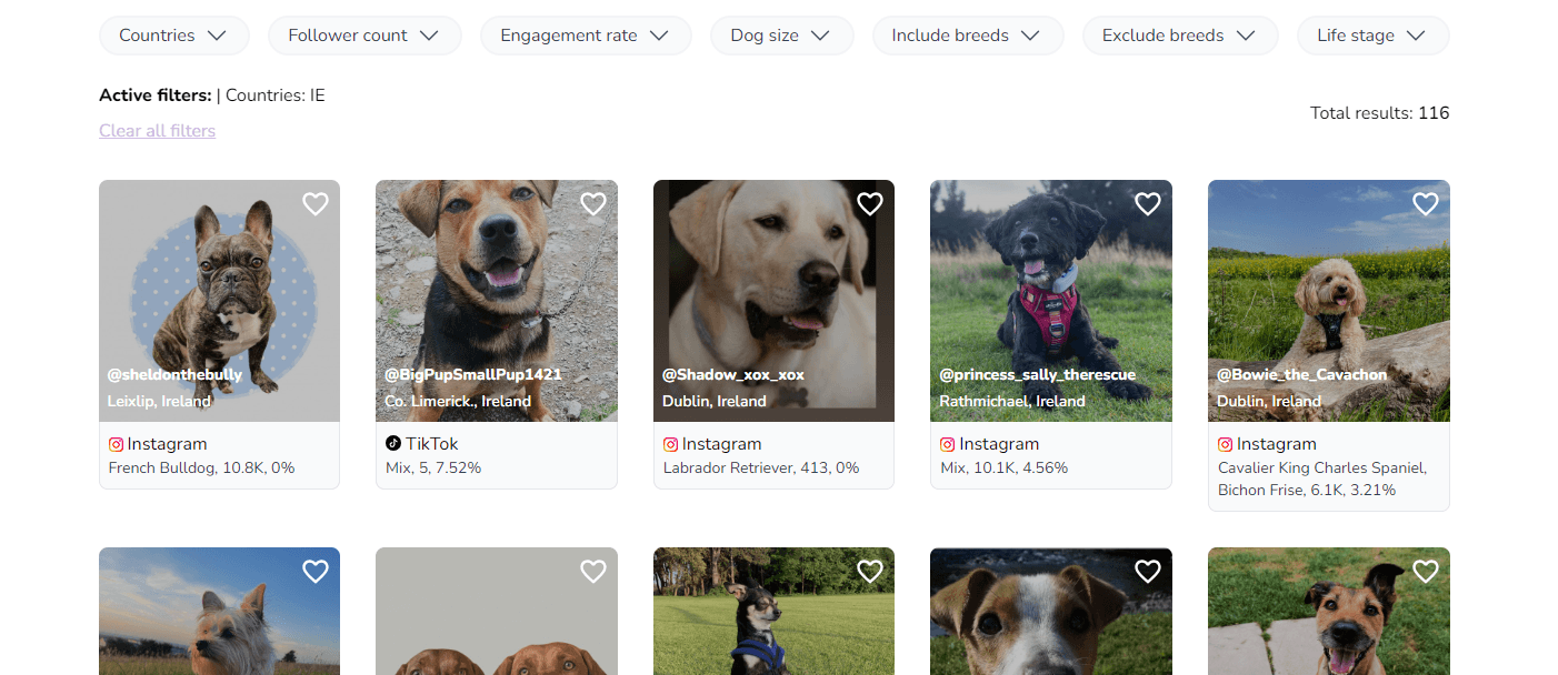 Ireland dog influencers via the dogfluencer search tool