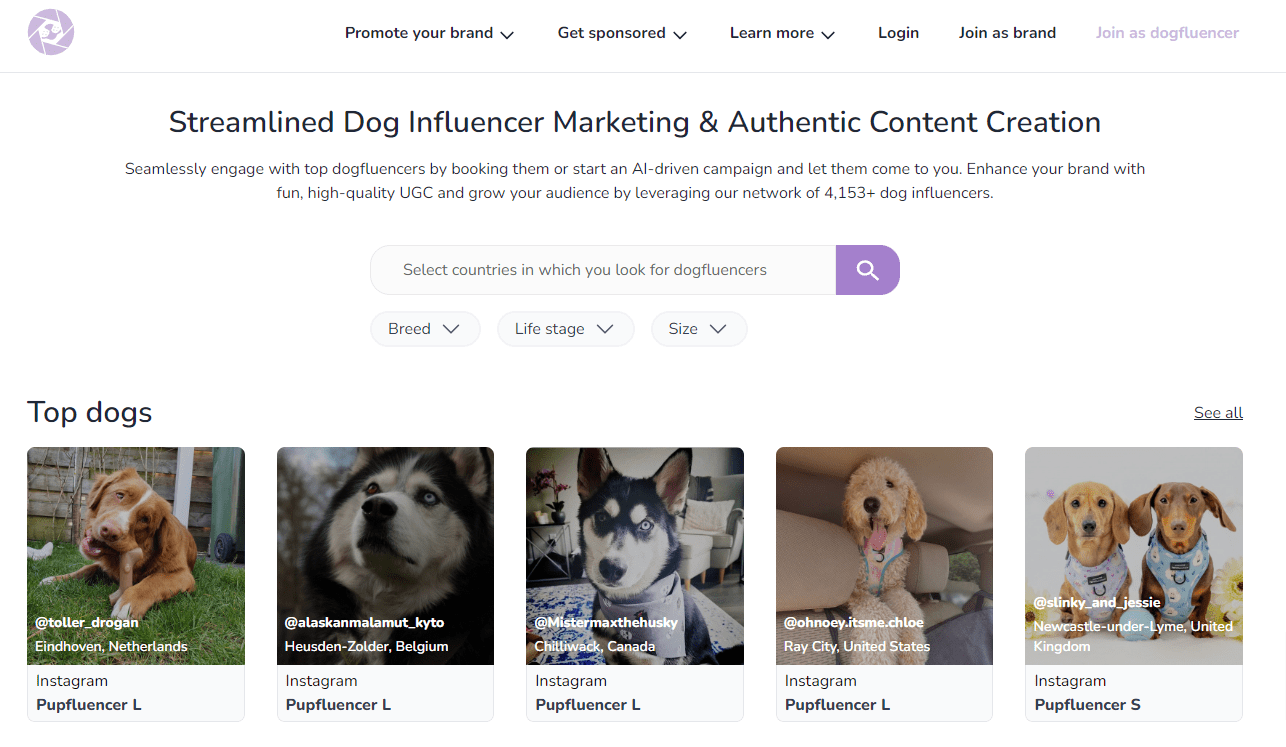 Dog Influencer Search Tool