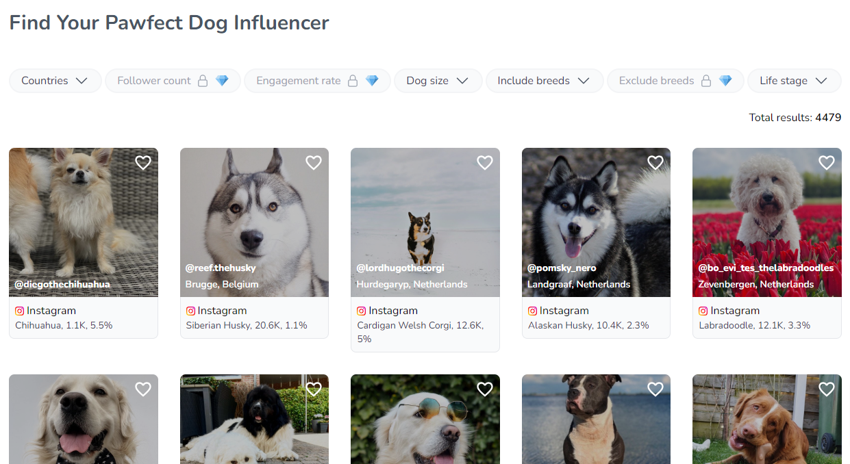 Find dogfluencers - dog influencers