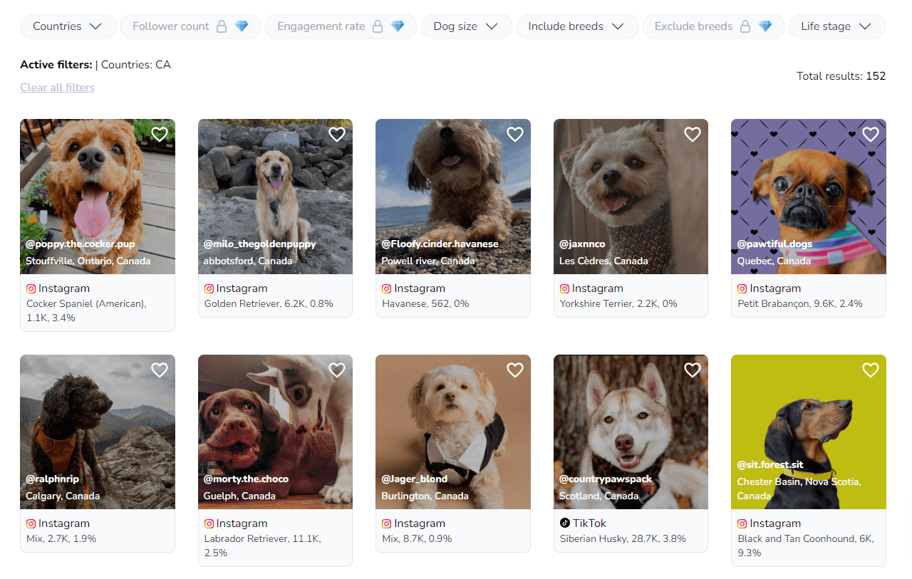 Search dog influencers from Canada