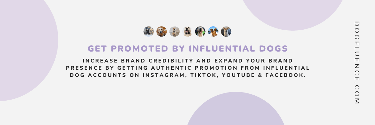 Promote your dog brand and product through dog influencers