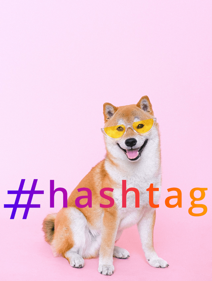 Dog Hashtag