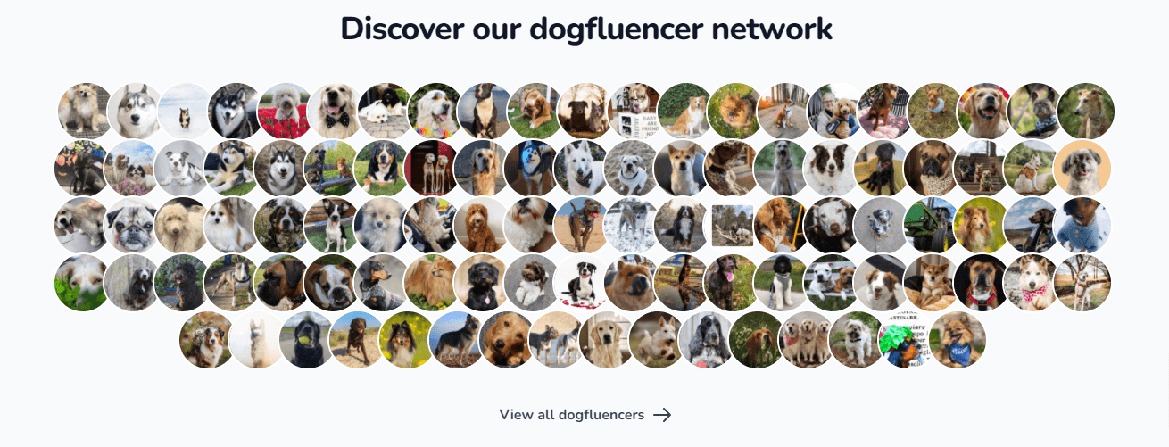 Dogfluencer network