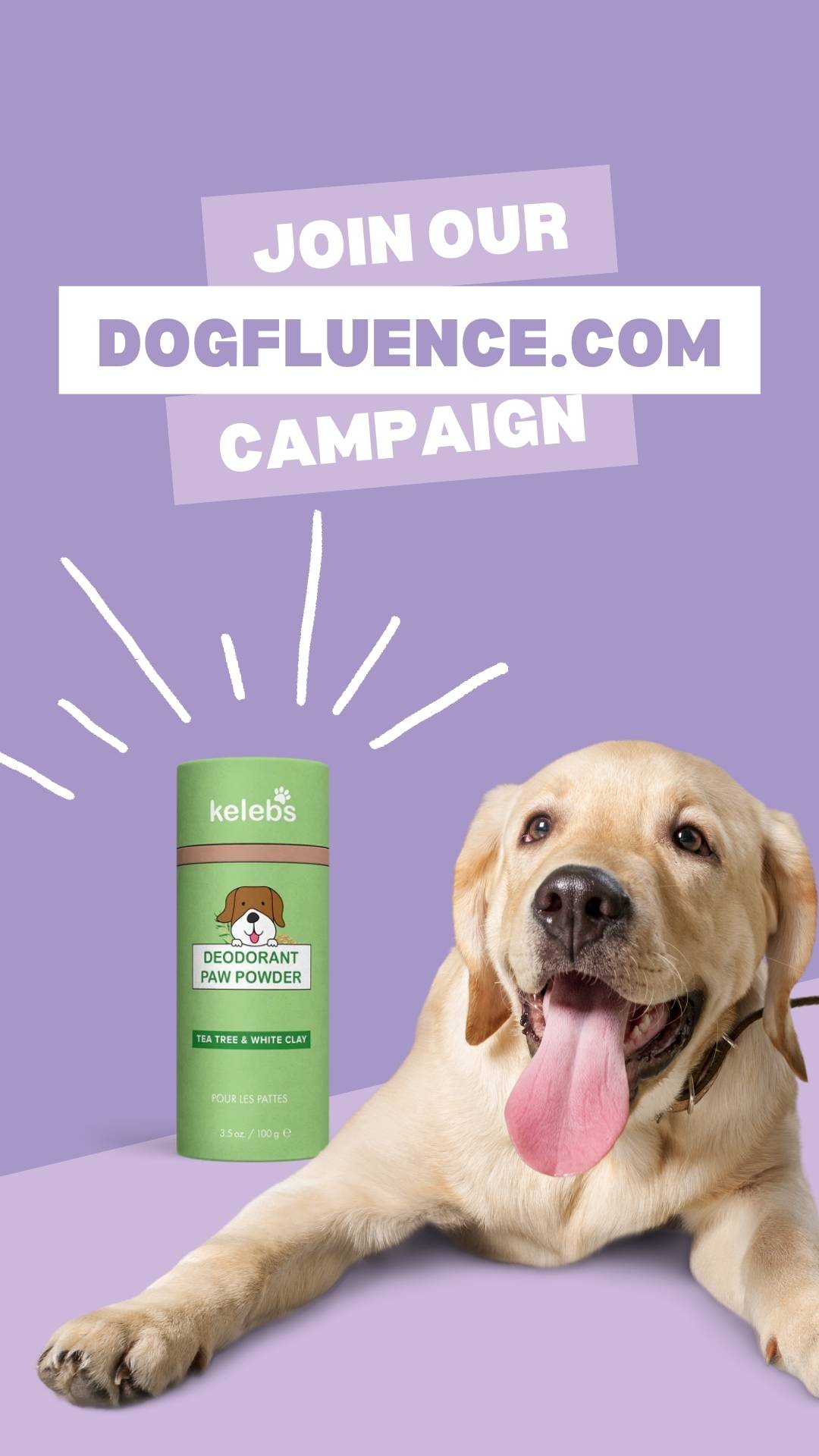 Instragram story - Dogfluence.com campaign promotion