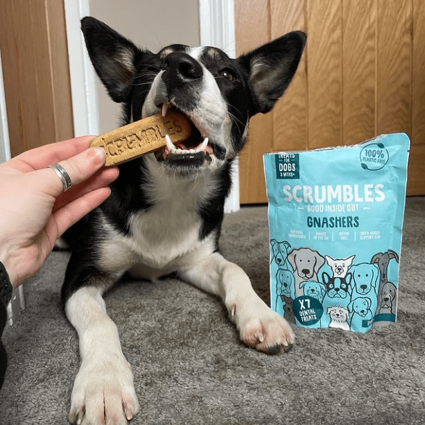 Dog influencer promoting Scrumbles