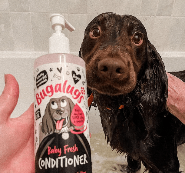 Dog influencer promoting Bugalugs