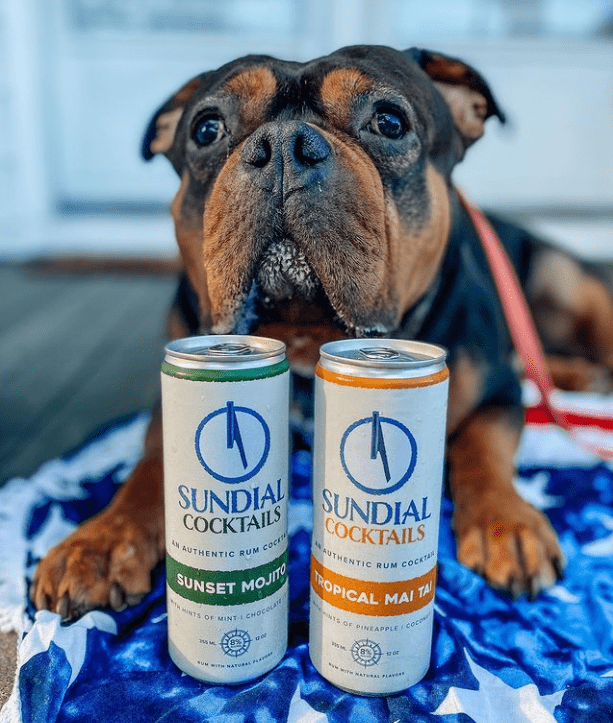 Dog promoting Sundial Cocktails