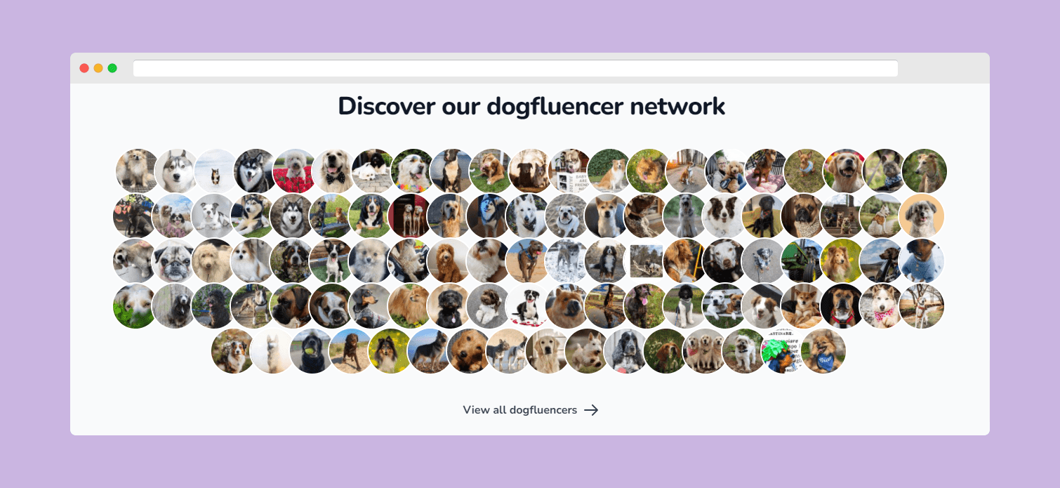 Dog influencer network